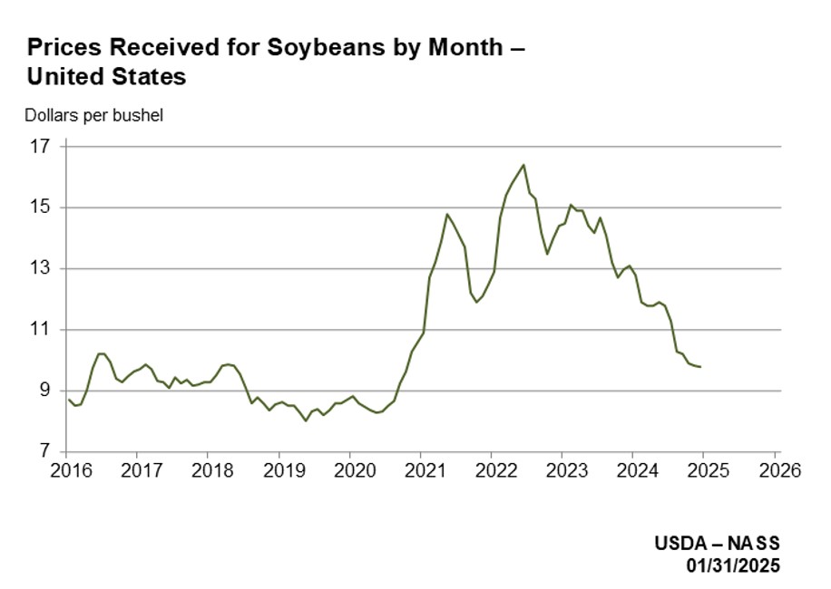 Tariffs soybeans graph.jpeg